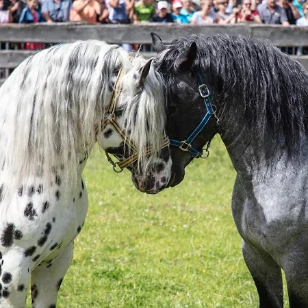 Hochalmbahnen Chalets 11W2, Laerche, Nahe Gondel, Hunde Willkommen Lägenhet *