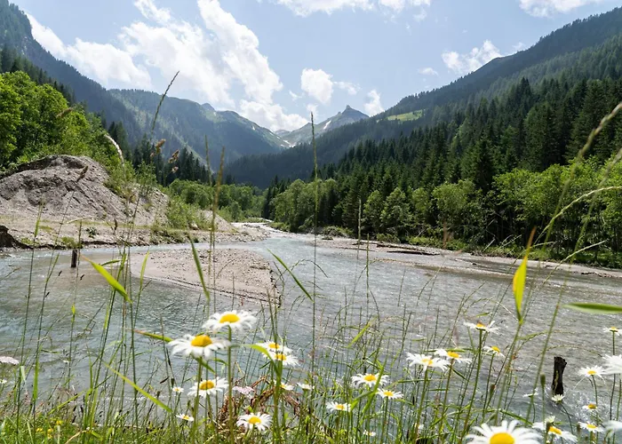 公寓 Hochalmbahnen Chalets 11W2, Laerche, Nahe Gondel, Hunde Willkommen *